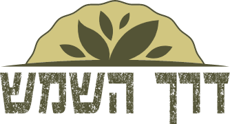 דרך השמש